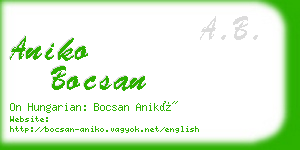 aniko bocsan business card